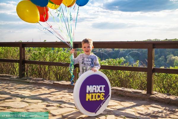 логотип из пенопласта для компании Maxi Mice